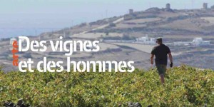 arte-des-vignes-et-des-hommes-la-civilisation-du-vin-01